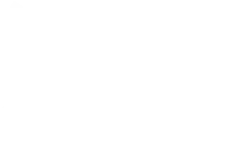 Sports Mania